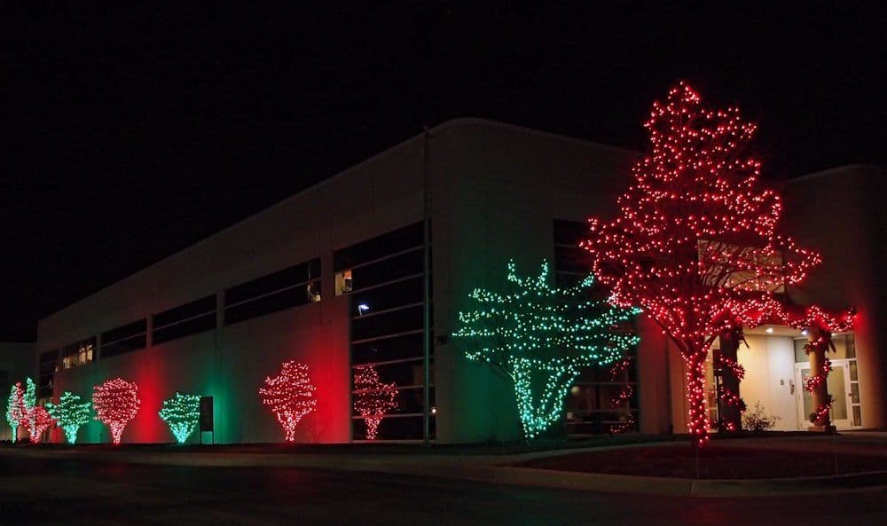 Gallery photos for Multi-Colored Christmas Lights: Image #2